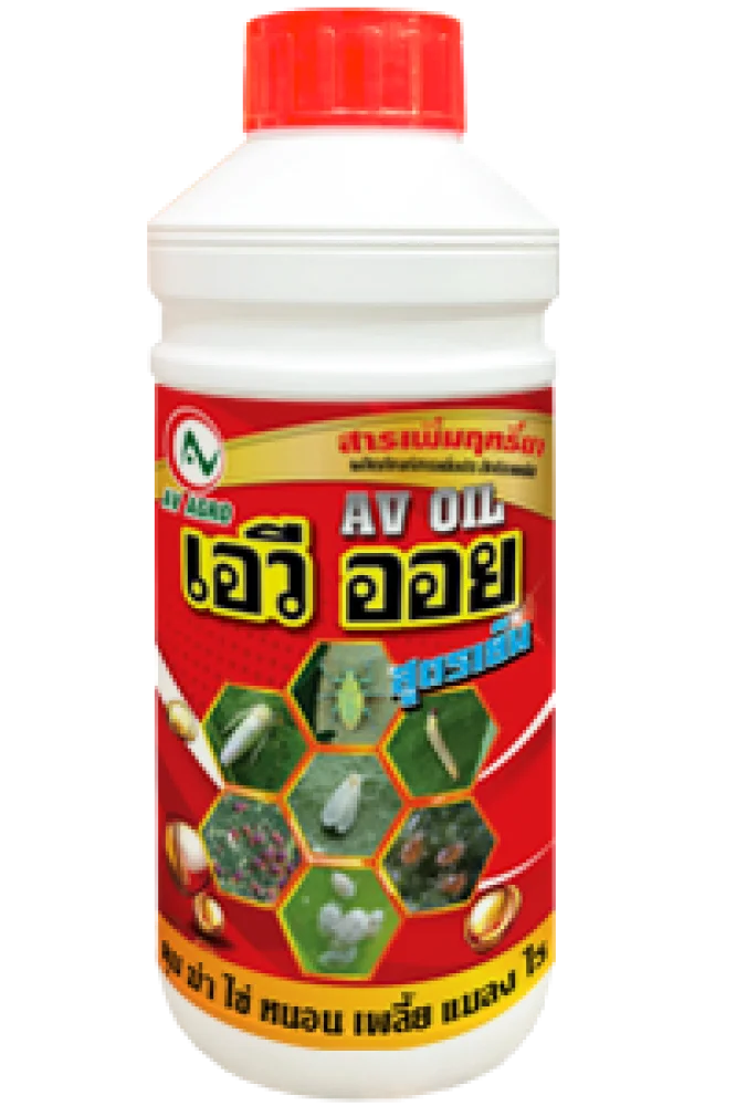 เอวี ออย